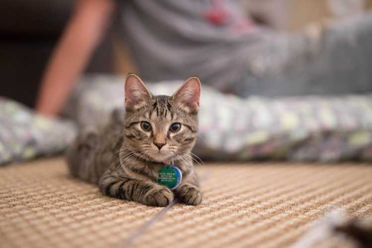 Columbus Coffee Shops